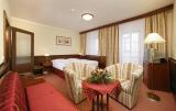Zlata Hvezda Trebon Hotel 1