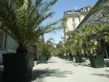Savoy Westend Hotel 8
